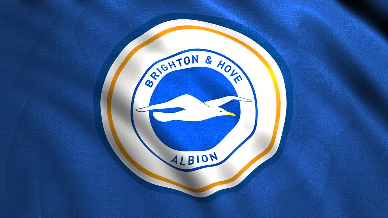 el logotipo del club de fútbol de brighton y hove albion