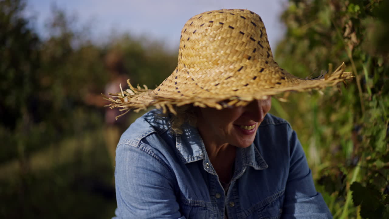 mujer cosechando uvas en un viñedo