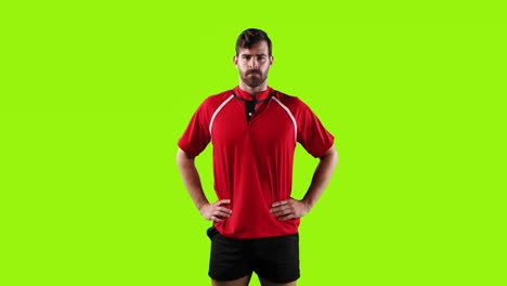 professional rugby player standing on green background 4k
