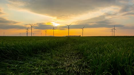 time lapse of rotating windmills in backlight, in country fields, during a orange sunset