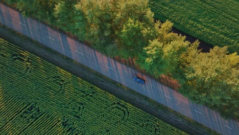 aerial view of country road through fields and trees