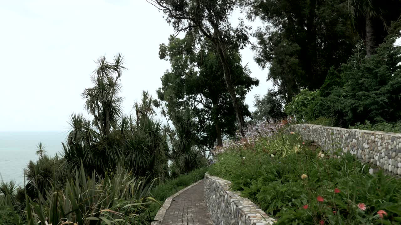 selva tropical en un día de verano en uno de los parques más grandes - batumi, georgia