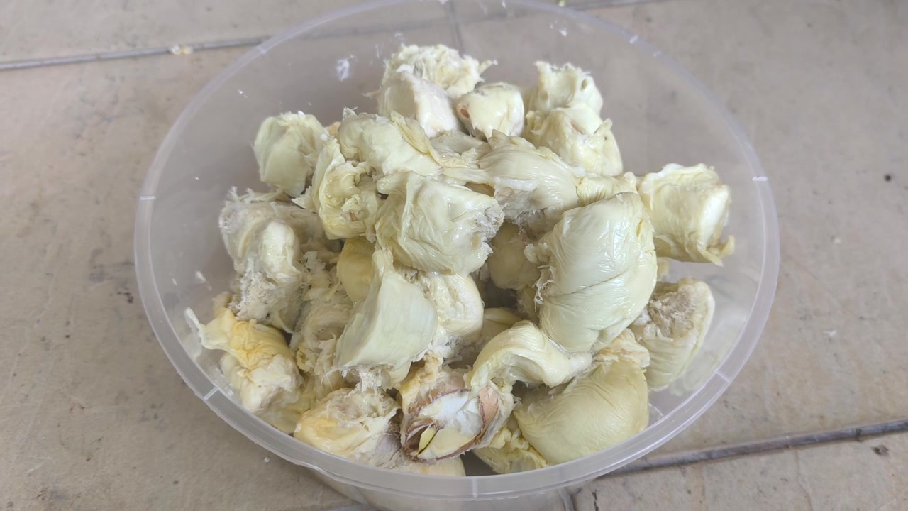 Daging durian segar ditempatkan dengan hati-hati ke dalam wadah plastik bulat untuk penyimpanan. Membekukan buah tropis lezat ini memastikan tetap awet dan tahan sangat lama.