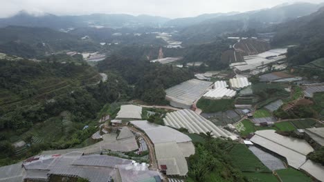 general landscape view of the brinchang district within the cameron highlands area of malaysia