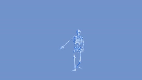 esqueleto que muestra el movimiento de baile de salsa.