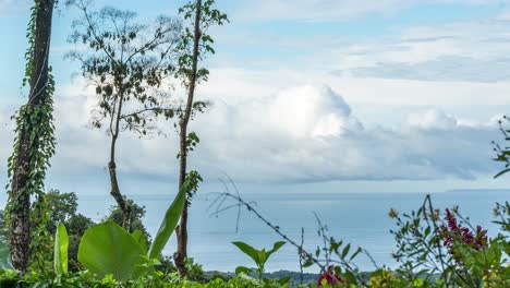 Hermoso-Lapso-De-Tiempo-En-Costa-Rica-De-Nubes-Y-Bosque