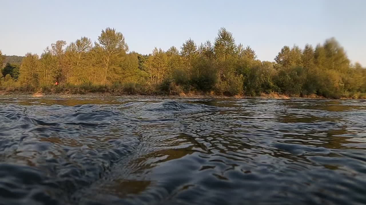 Ripresa al rallentatore di un colibrì che volteggia sopra il fiume nel Pacifico nord-occidentale.