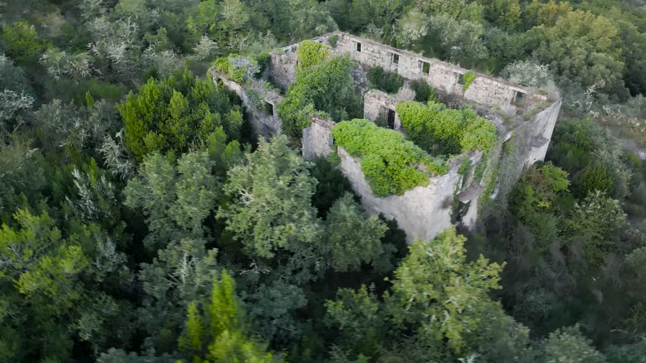 vegetación cubierta de monasterio santa comba de naves, ourense, galicia, españa