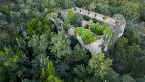 vegetation overgrown on monasterio santa comba de naves, ourense, galicia, spain