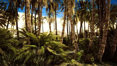 lush tropical landscape with palm trees and bright blue sky