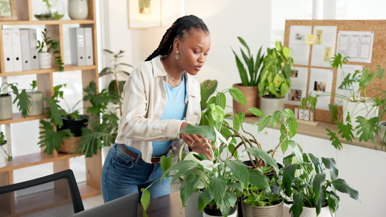 Ung sort kvinde vander stueplanter på et hjemmekontor