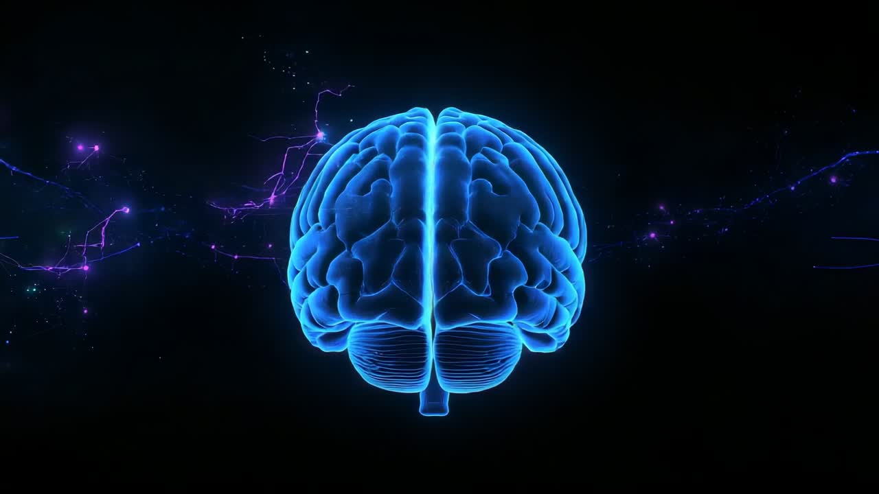 Scan starting neon blue 3D brain model rotating revealing cortex in digital void, mapping filaments