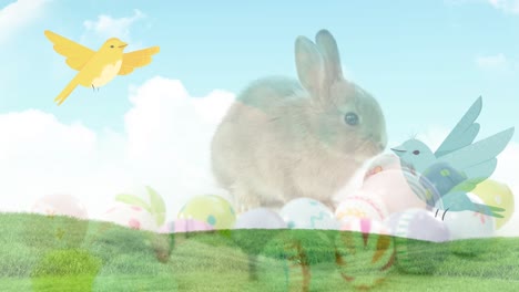 animación de huevos de pascua y conejo de pascua sobre la hierba de primavera y el cielo azul