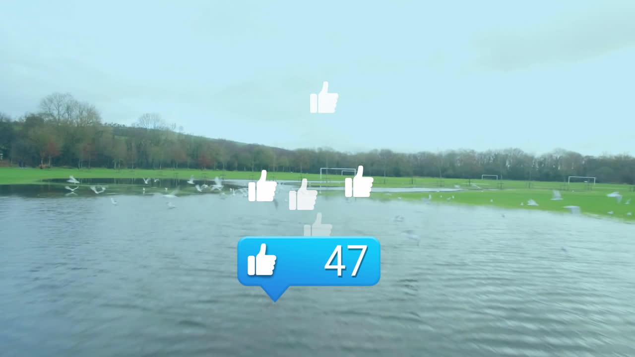 Bright blue like bubble showing 46 floating over flooded soccer pitch with seagulls, goalposts