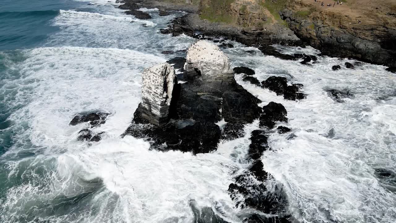 órbita aérea de las rocas de punta de lobos con pájaros en la parte superior en un día soleado