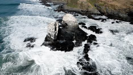 órbita-Aérea-De-Las-Rocas-De-Punta-De-Lobos-Con-Pájaros-En-La-Parte-Superior-En-Un-Día-Soleado