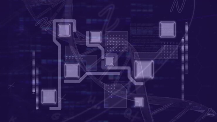 Animation of data processing and network of connections