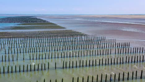 Antena-Sobre-La-Granja-De-Mejillones-Francés-En-La-Playa-De-Utah,-Normandía,-Francia-2