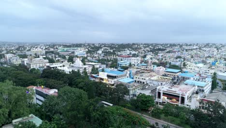 Residential-Area-Surrounded-by-Trees,-India