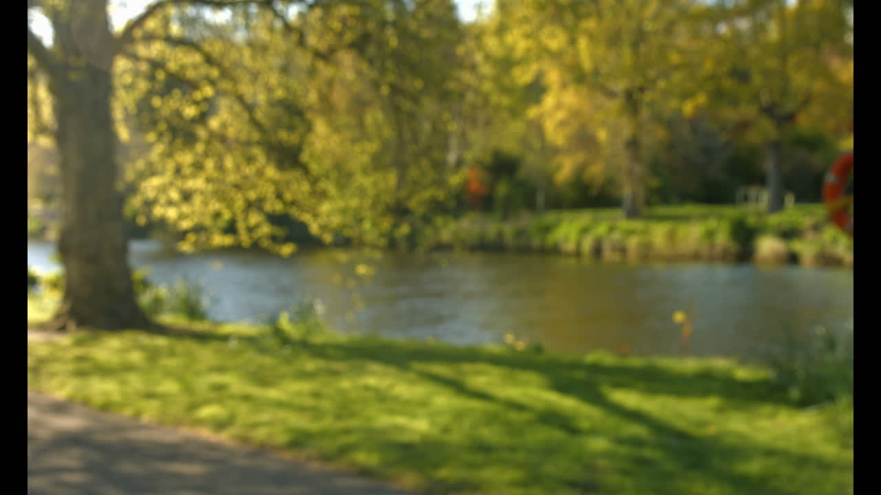hermosa vista del río y su orilla