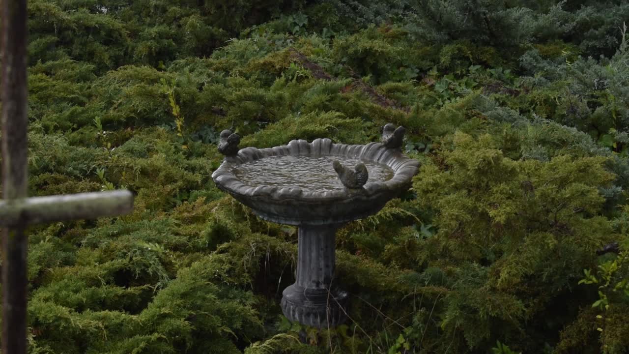 baño de pájaros, tormenta eléctrica, cenador parcial
