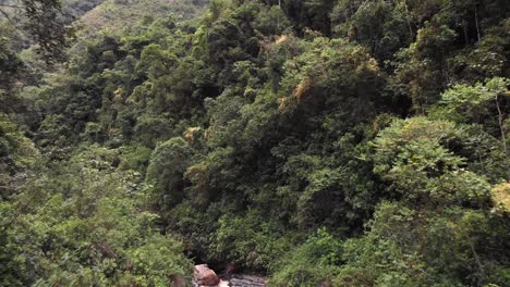 Drone-Volando-Sobre-Un-Pequeño-Río-En-La-Amazonía-Peruana-Con-Vistas-A-Enormes-árboles-Verdes