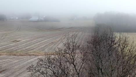 solitude over winter farm field in yadkin county nc, north carolina