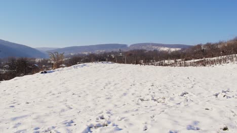 Hills-covered-by-forest-and-vegetables-in-winter-season-covered-with-snow