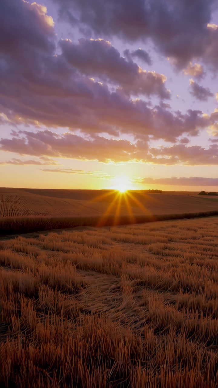 Tramonto su un campo di grano mietuto