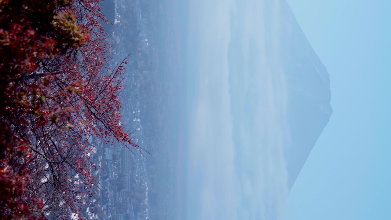 Monte Fuji senza neve e alberi dalle foglie rosse, vista mattutina dalla pagoda Chureito.