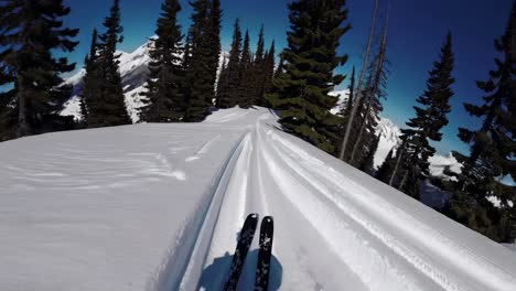 skiing in the mountains