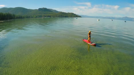una toma aérea de una mujer y su perro remando en el lago tahoe 4