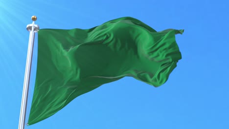 beni department flag, bolivia. loop