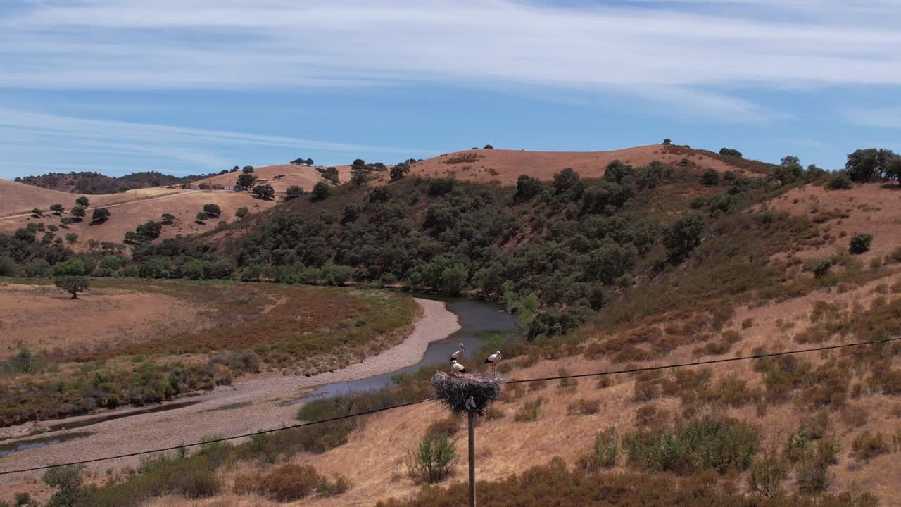 vista aérea de drones de un nido de cigüeñas en postes de energía cerca del río en el campo de alentejo, portugal