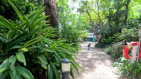 park path with lush greenery