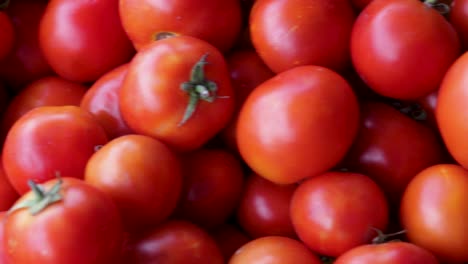 fresh organic tomatoes from farm close up from different angle