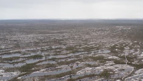 a hiking trail going through the beautiful snowy swamp of latvia - aerial