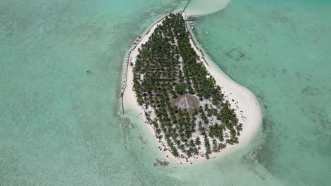 la elevación de la inclinación aérea revela la isla de onok llena de palmeras en el balabac tropical