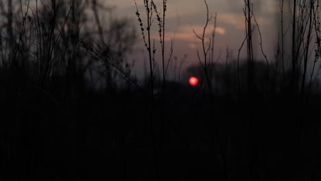 Filmischer-Zeitraffer-Des-Sonnenuntergangs,-Aufgenommen-Durch-Gras-Zur-Goldenen-Stunde