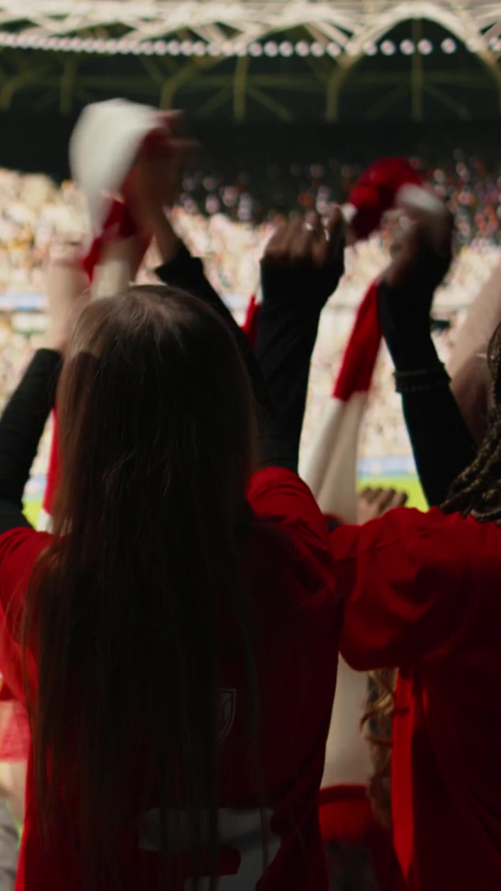 Video verticale: Vista posteriore di tifosi sportivi multigenerazionali nel settore dei tifosi