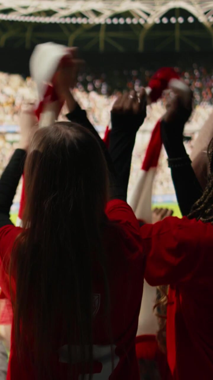 Video verticale: Vista posteriore di tifosi sportivi multigenerazionali nel settore dei tifosi