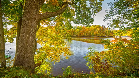 Flora-of-Latvia-Koknese-castle-premises-timelapse