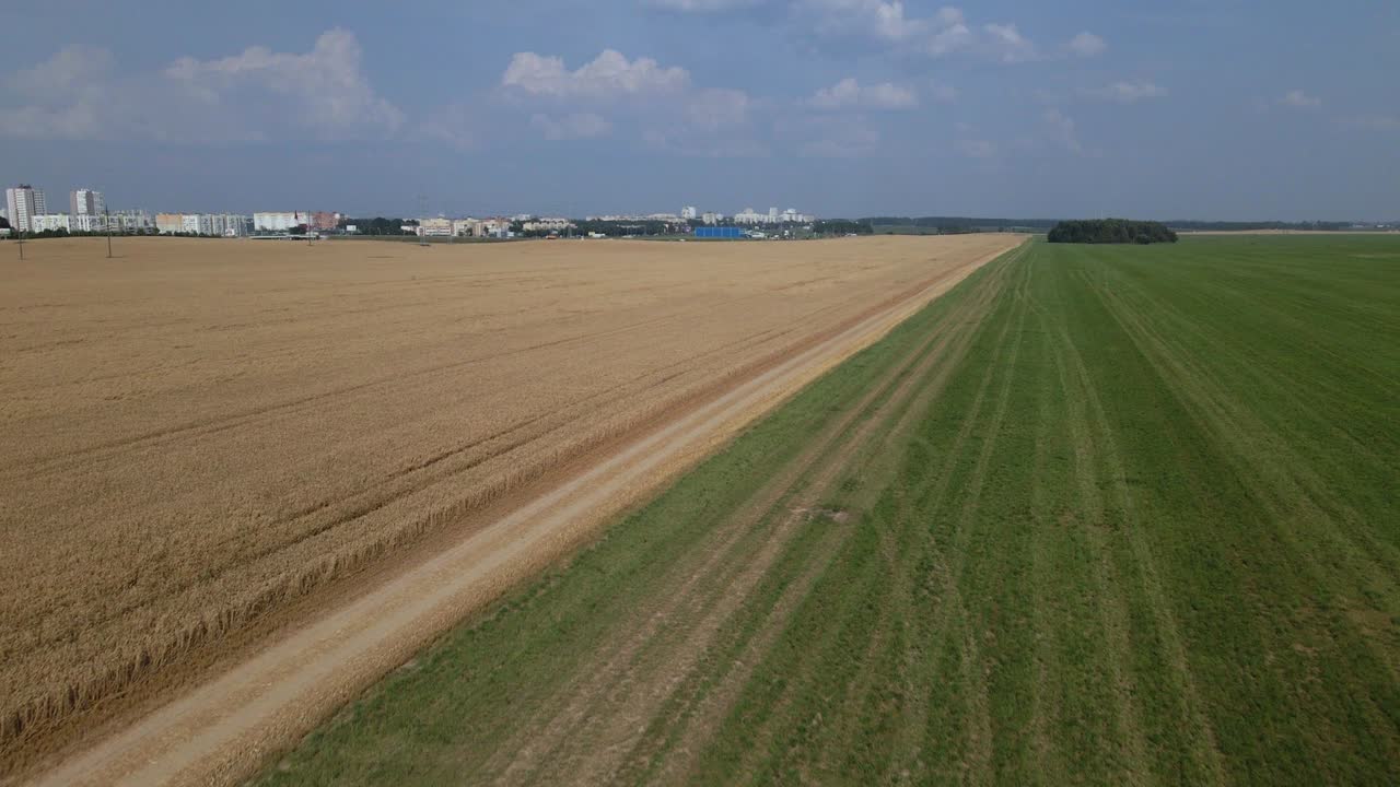 Ripe grain field. The border of a field with a green meadow is visible. The city is visible on the horizon. Aerial photography.