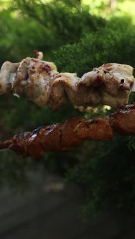 grilled chicken and pork skewers