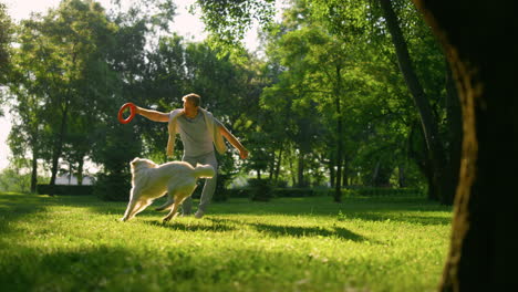 attractive man teasing golden retriever in park. friends playing on daily walk