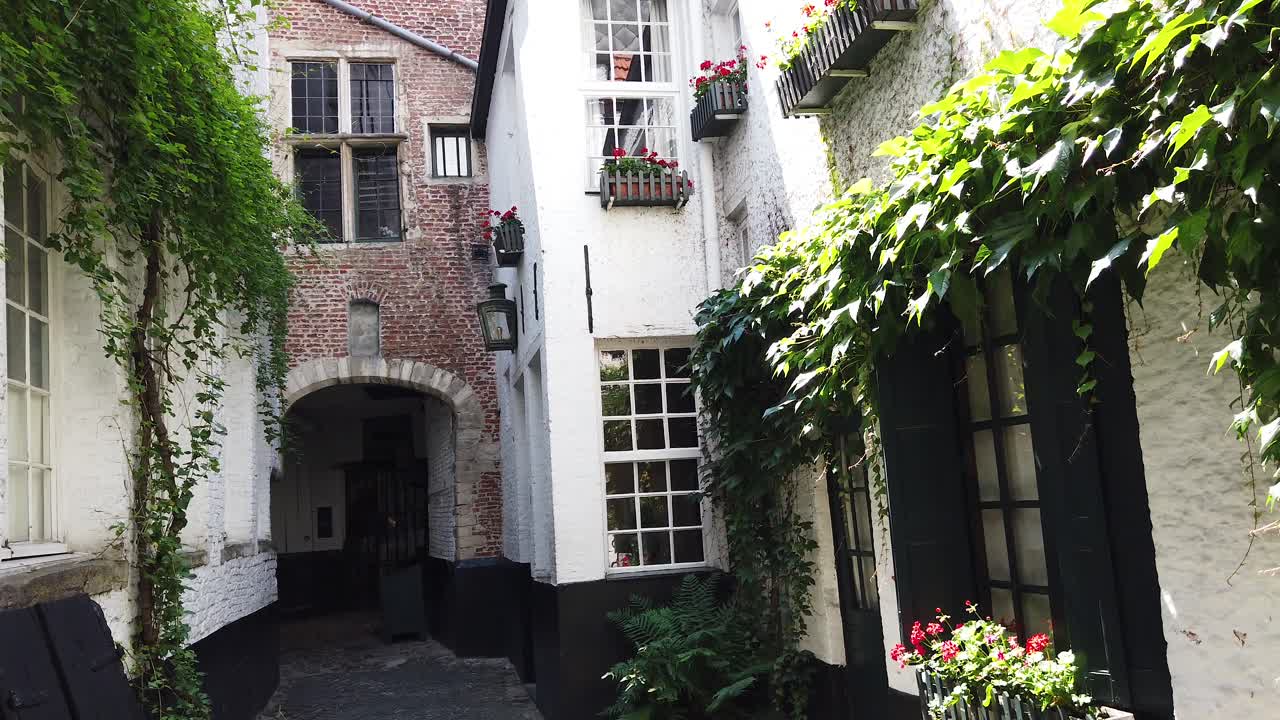 Old style buildings with greenery in Brussels, Belgium