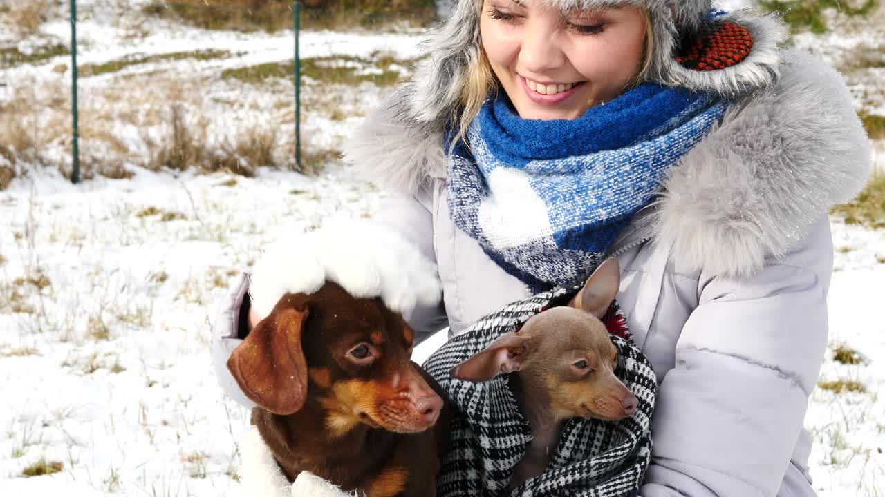 여자 는 겨울 밖 에서 작은 개 들 과 함께 놀고 있다