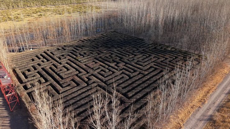 Aerial descend to geometric hedge maze surrounded by leafless trees and rural countryside road, nobody