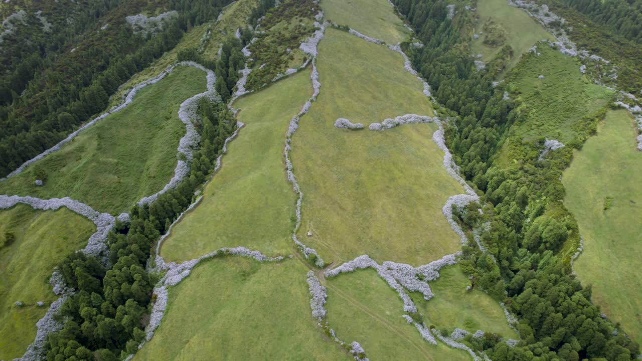 vista aérea de los campos de hortensias en la ladera de la montaña - isla de faial, azores