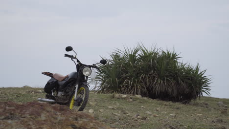 a lonely motorbike is parked on a slope in front of a tropical bush